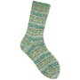 Rico-Socks-Soft-Spin-6-draads-Forest Greens 006