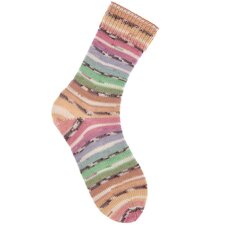 Superba Bamboo 4-draads 057 rainbow earty